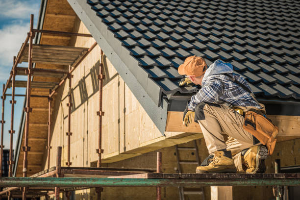 Best Roof Maintenance and Cleaning  in Candlewick Lake, IL