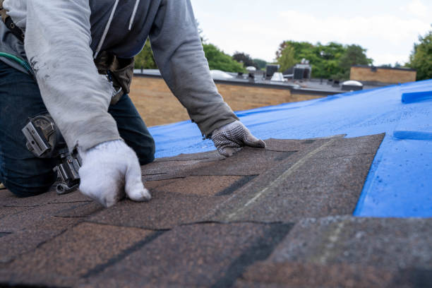 Best Green or Eco-Friendly Roofing Solutions  in Candlewick Lake, IL