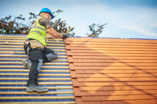 Best Chimney Flashing Repair  in Candlewick Lake, IL
